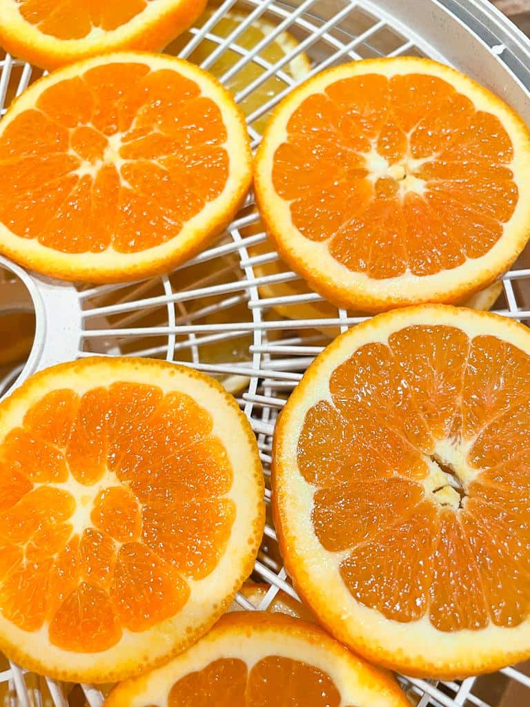 drying orange slices in dehydrator