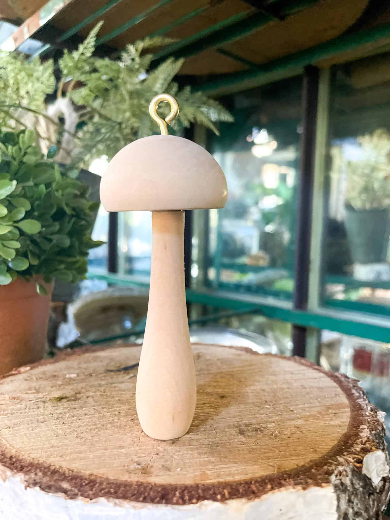 A wooden mushroom-shaped object with a hook on top is standing on a wooden surface. There are green plants and a window with a blurred view of outdoors in the background.