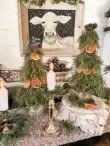 Cypress trees with dried oranges for Christmas