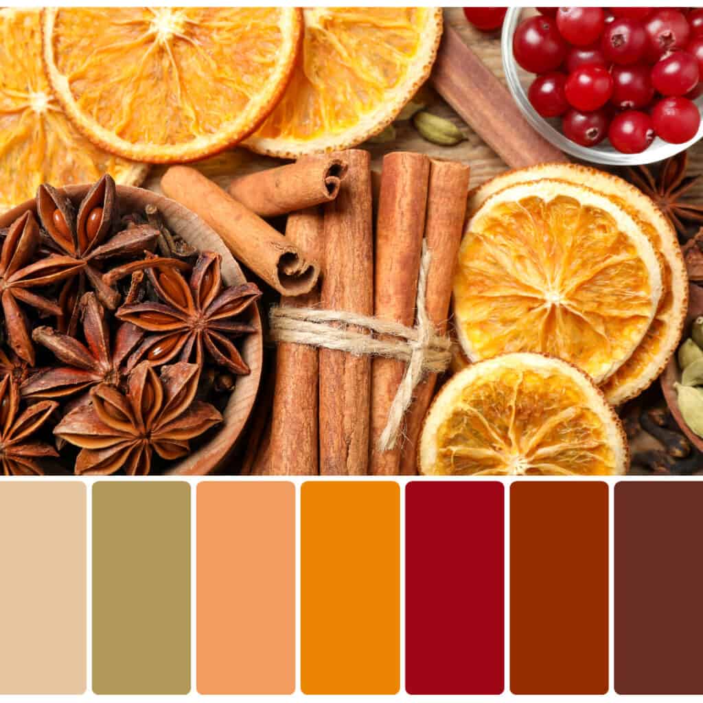  Christmas decoration theme ideas-Christmas color palette of neutral colors 