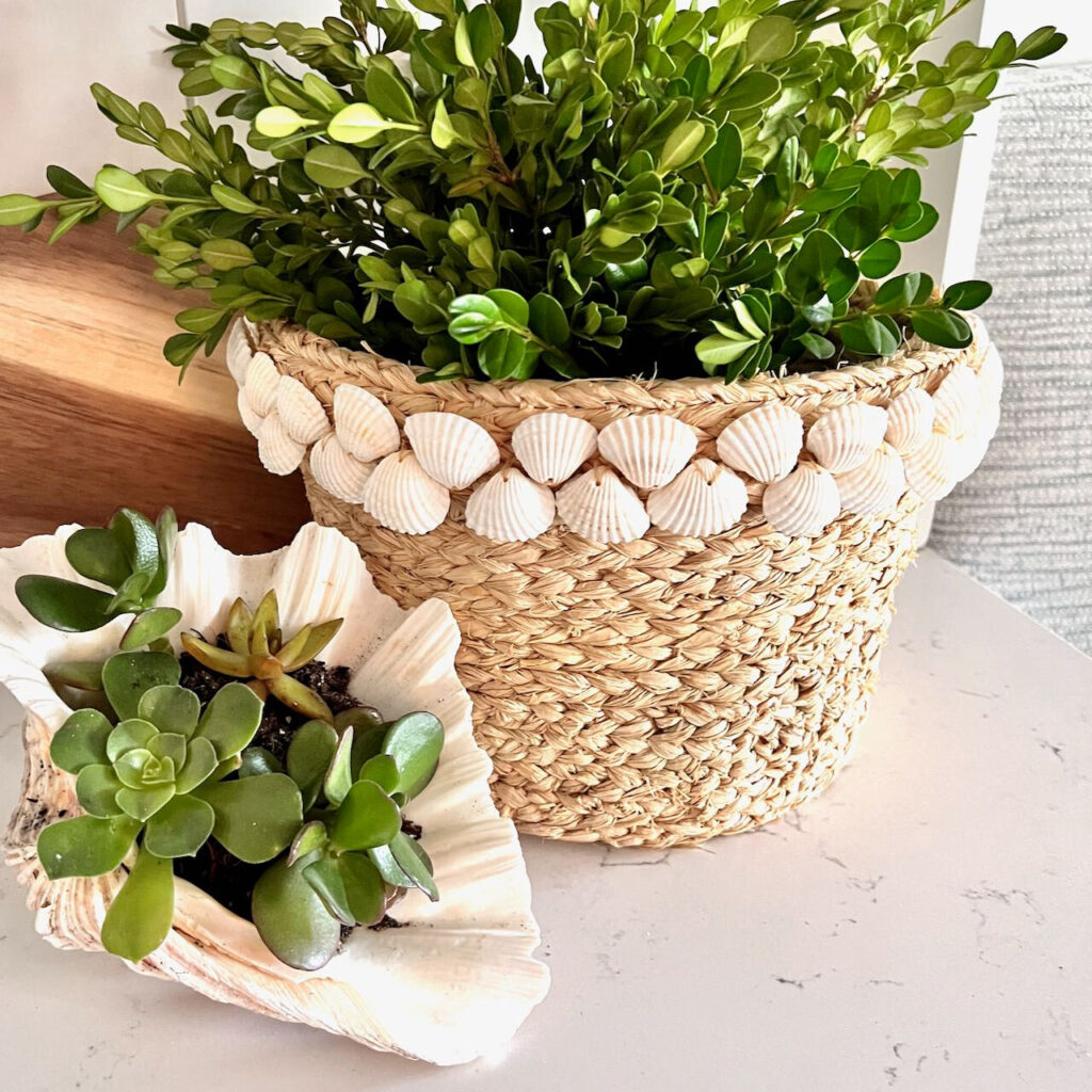 basket with shells