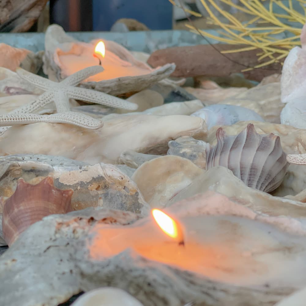 oyster candles 