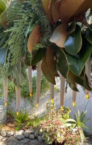 Outdoor Chandelier with candles and greenery hanging upside down.