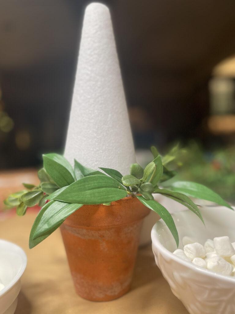 Small cone with greenery around the bottom to make a small white Christmas tree with marshmallows 