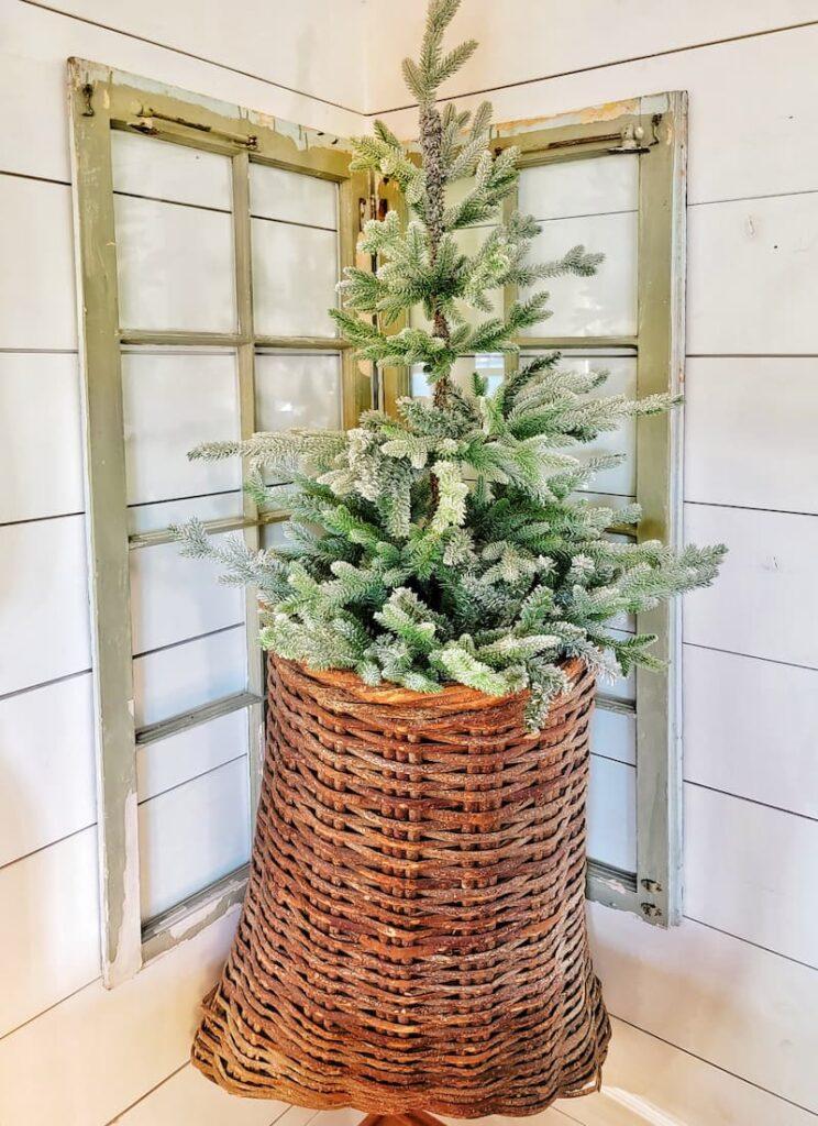 Natural tree in a basket 