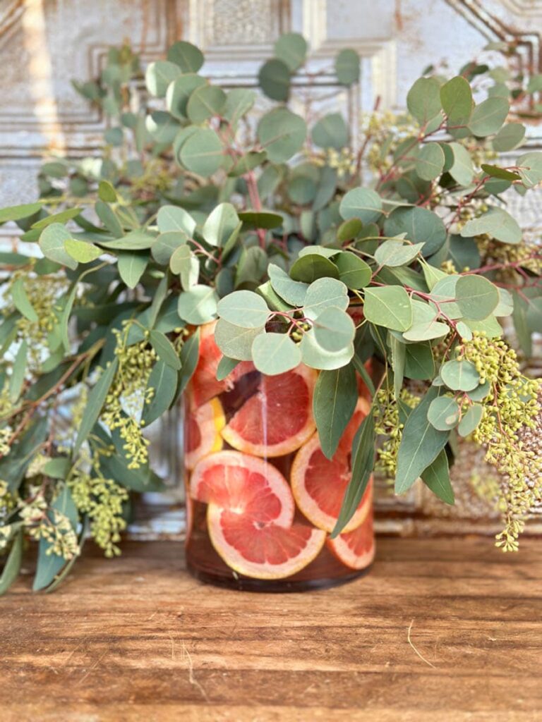 Eucalyptus in a flower vase with sliced grapefruit