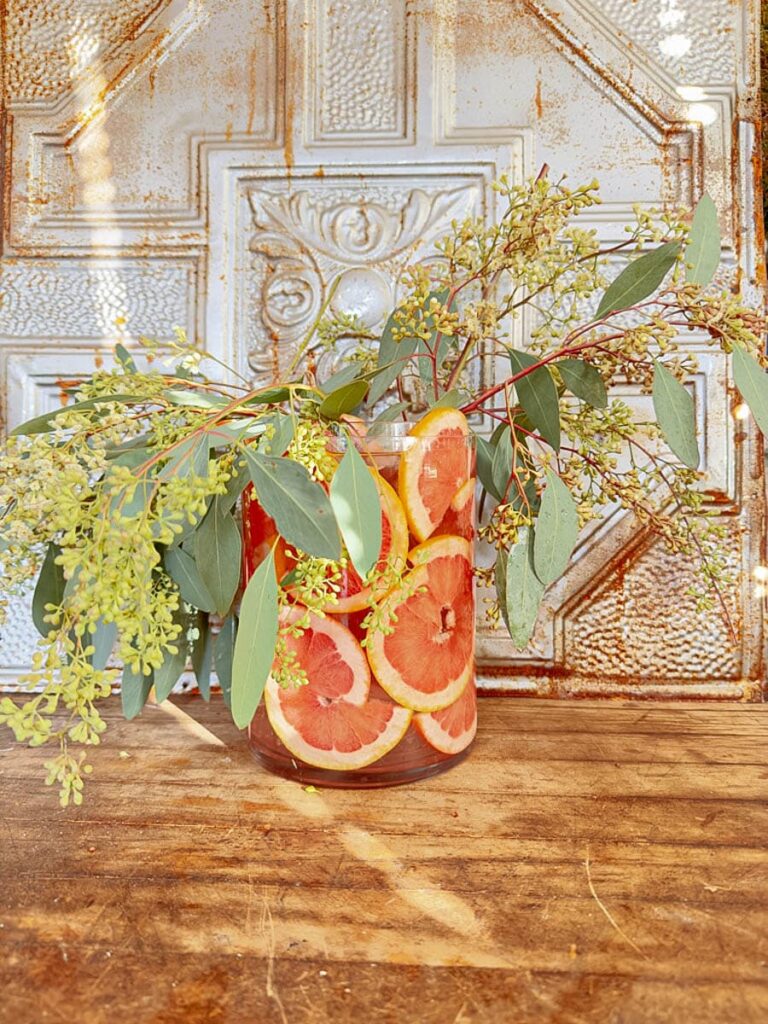 Eucalyptus in a flower vase with grapefruit slices.