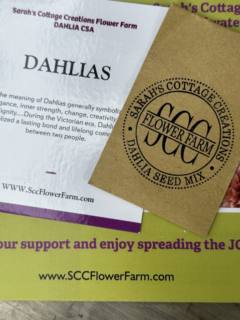 Dahlia seeds from scc flower farm 