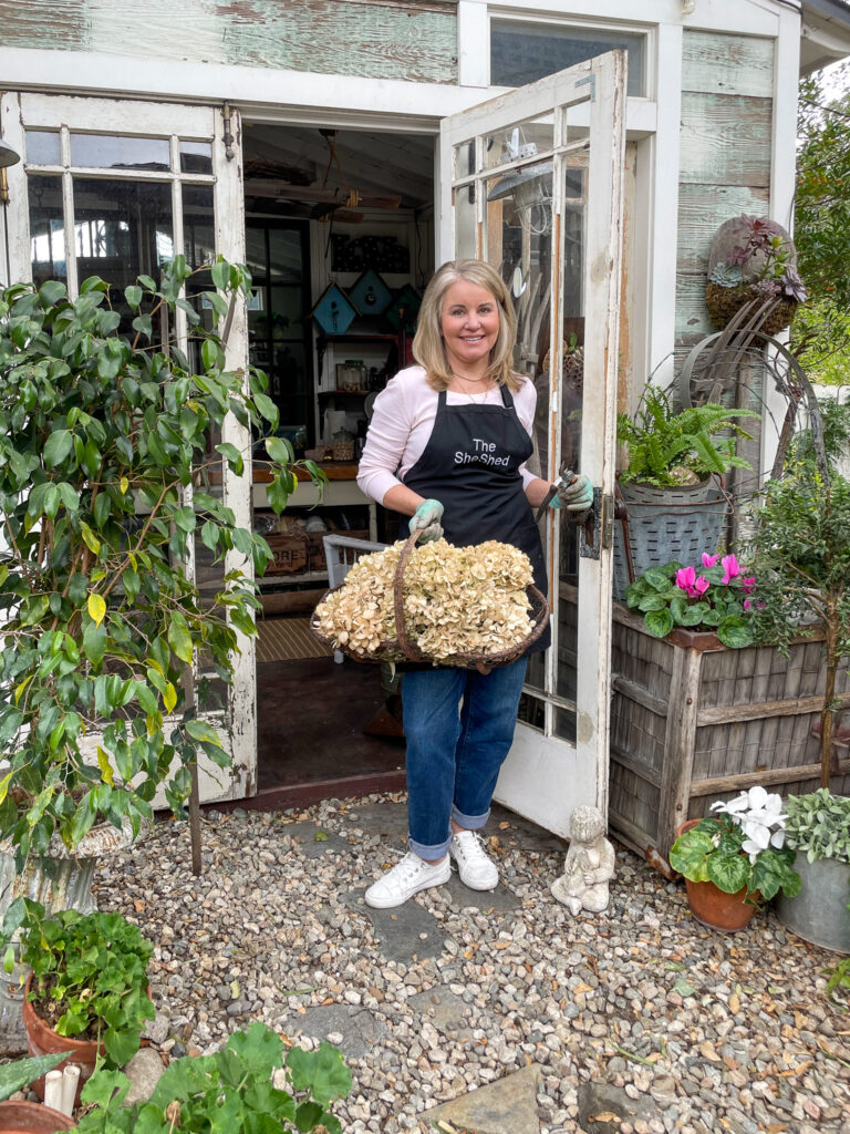 women standing in the doorway of a shed with a basket of dried hydrangeas