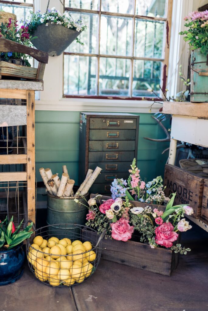 old tool chest used for storage in she shed 