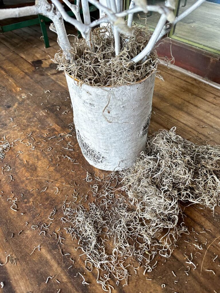 Spanish Moss put inside of the bottom of a vase to cover styrofoam -Valentine's Day Tree