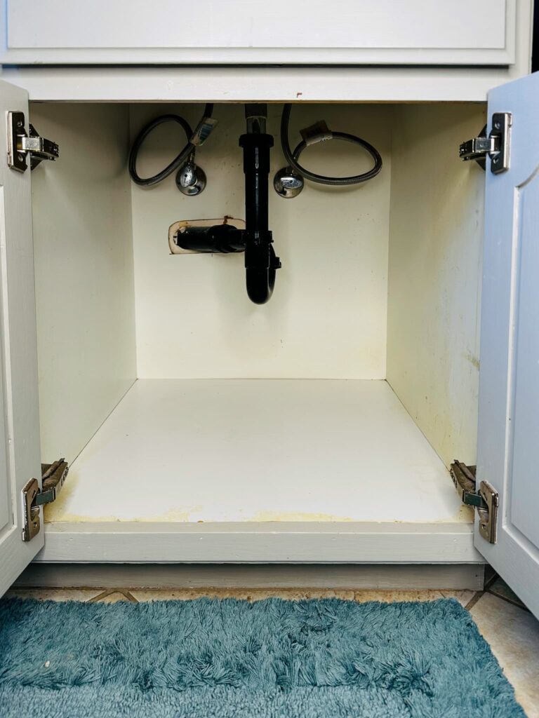 empty bathroom cabinet