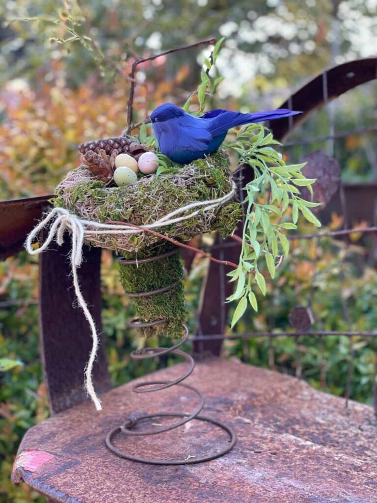 bird nest in old box spring