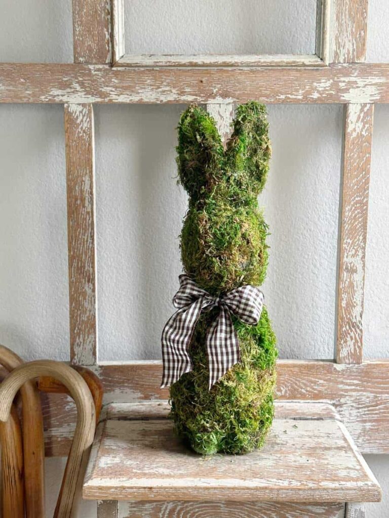 moss rabbit