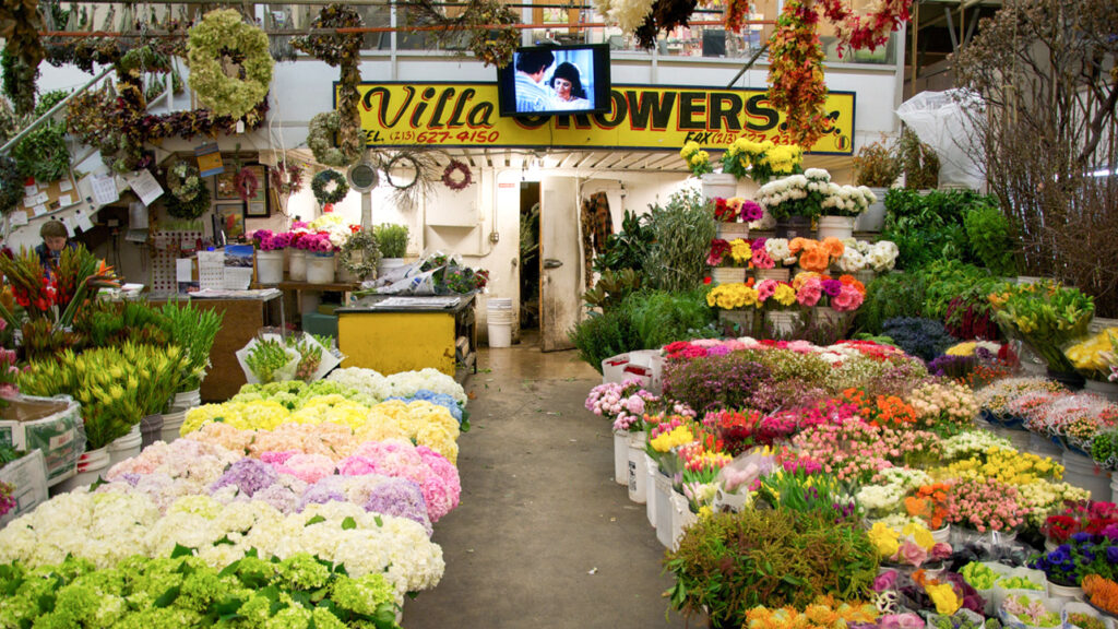 fresh flower market