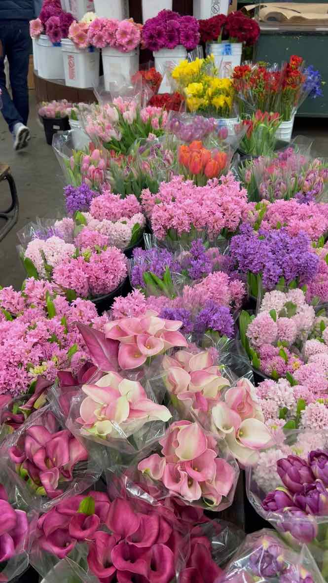 pink and purple flowers