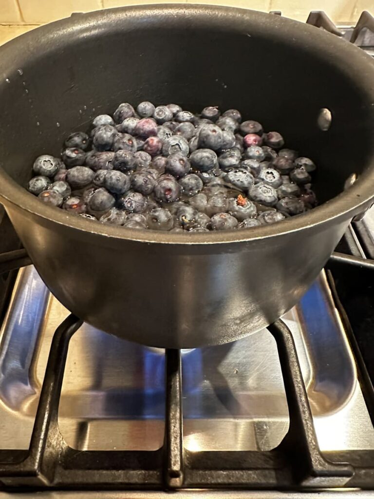 Blueberries- How to make Natural dye