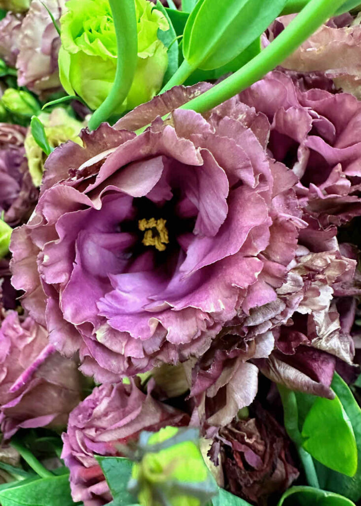 21 flowers for Easter-Purple Lisianthus
