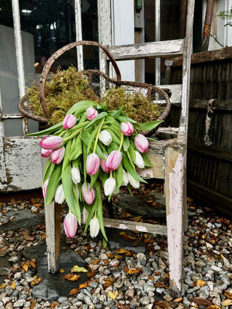 21 of the best flowers  for Easter-Pink tulips laying in a basket on a chair 