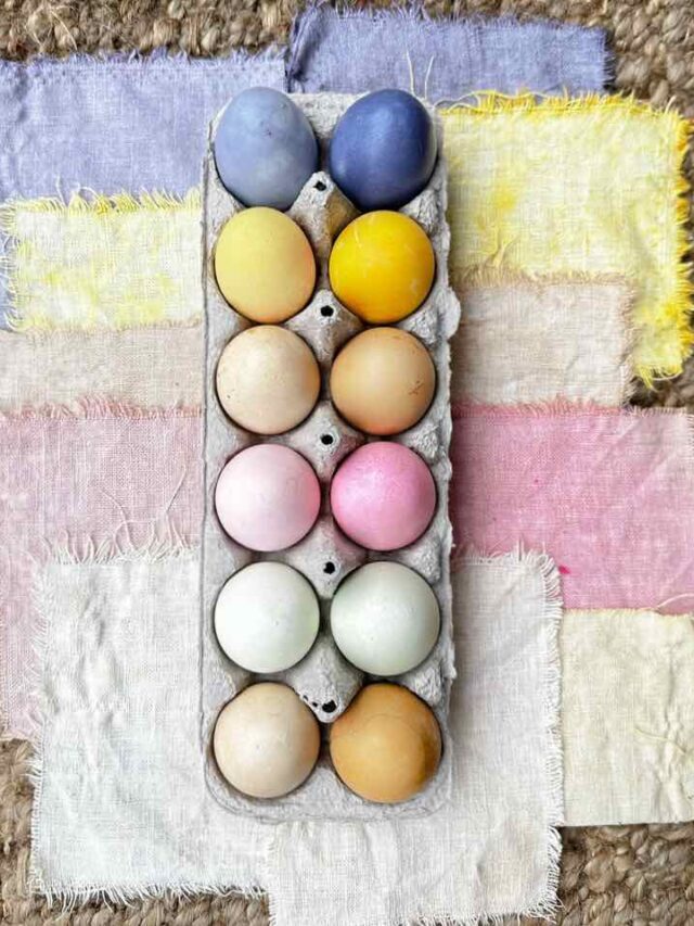 How To Make Natural Dye Using Vegetables And Dye Easter Eggs