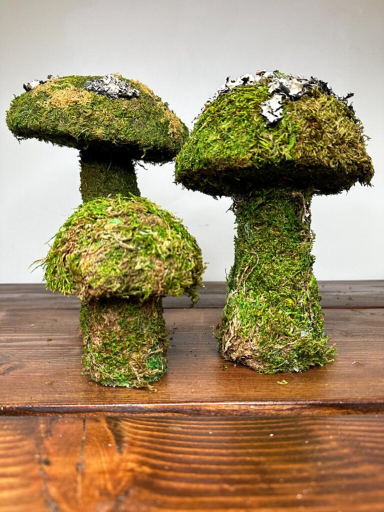 Three green moss mushrooms of different sizes sitting on a brown wooden table.