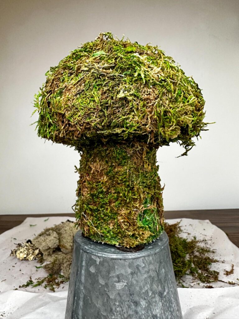 The smallest green moss mushroom sitting on top of a bucket one it was finished on the craft table.