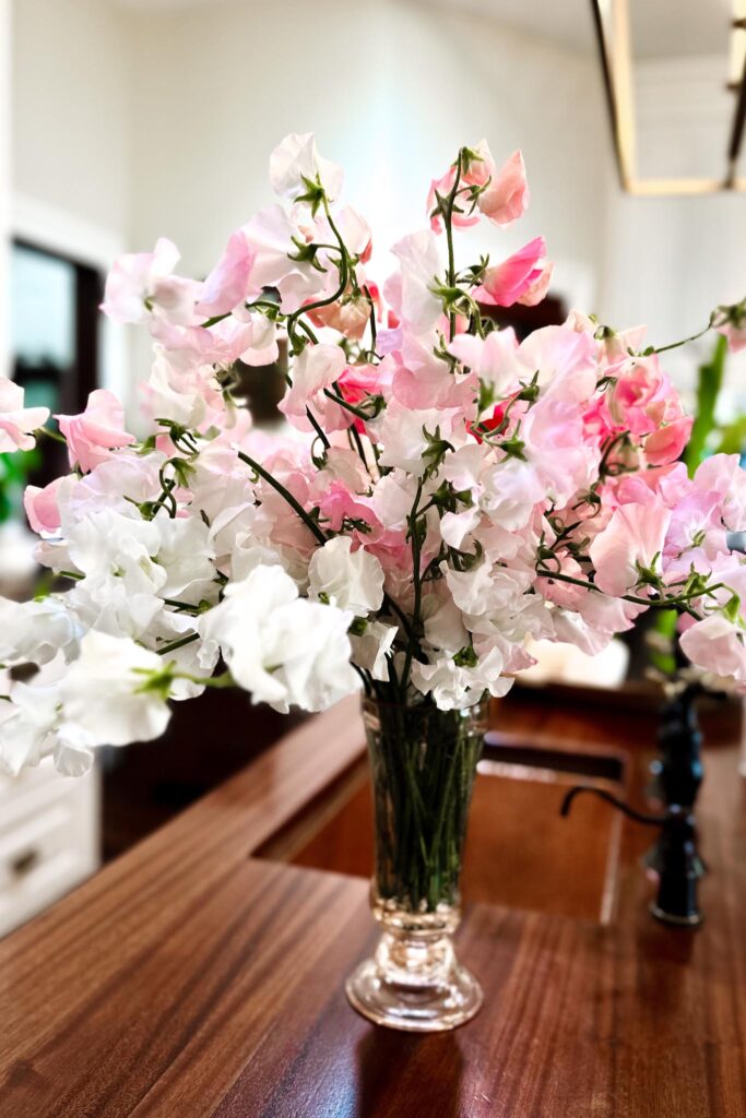 Sweet Pea flower arrangements-Pastel shade of pink sweet peas fill a clear glass vase sitting on a dining room table with pink glassware 