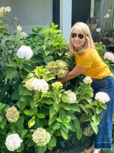 Wendy cutting Anabelle Hydrangeas in the garden.