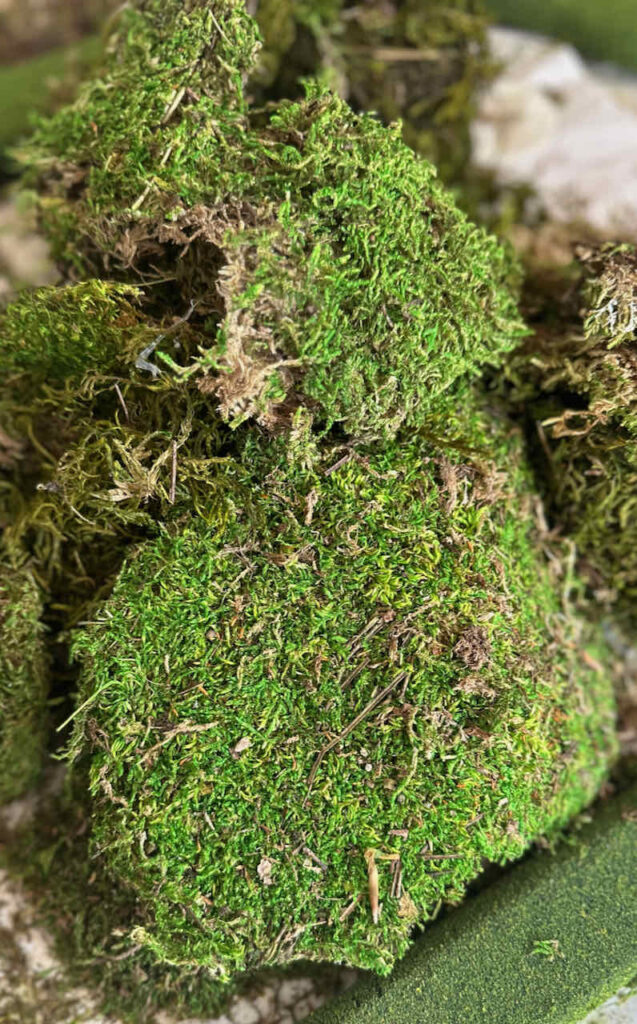 How to Make the Easiest DIY Spring Moss Mushrooms-Natural sheet moss laying in a pile 