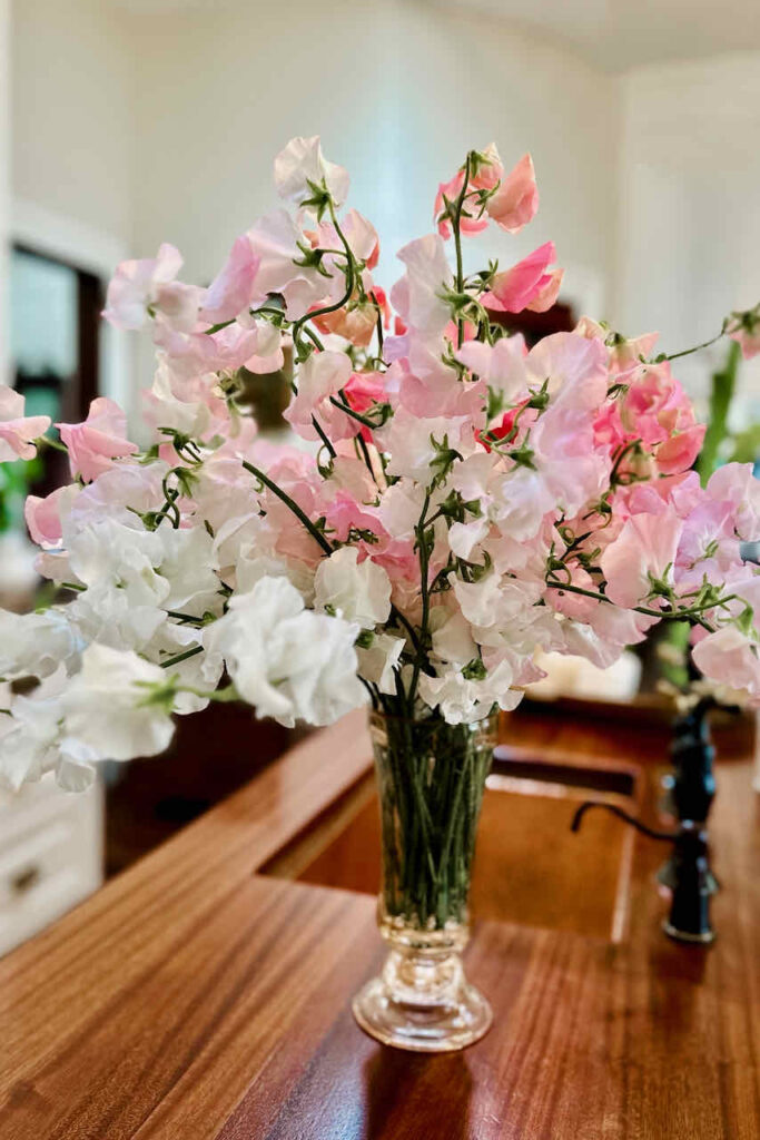 A clear glass vase filled with pink and white sweet pea flowers sits on a wooden countertop. The background shows a softly lit, blurred kitchen interior.