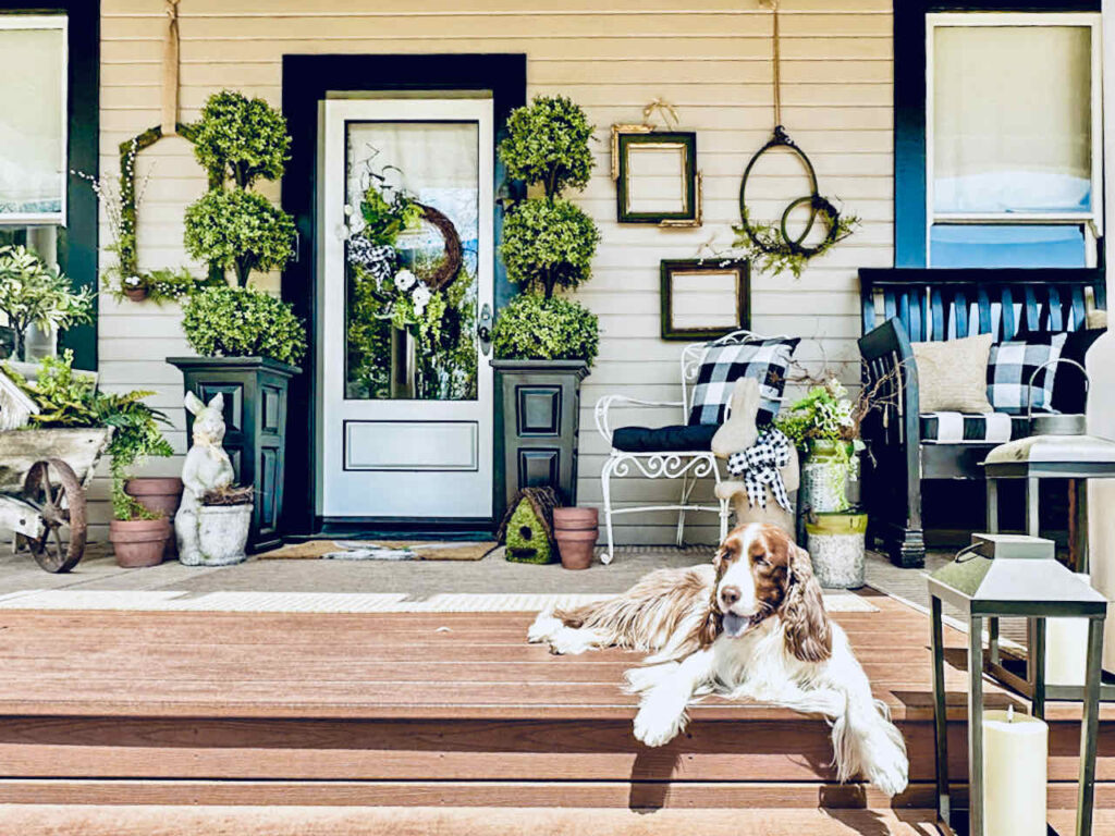 Dog sitting on the front porch steps with diy moss frames hanging on the siding. Beautiful black and white front door with a wreath. Two planters flank the front door with three tiered topiaries. 