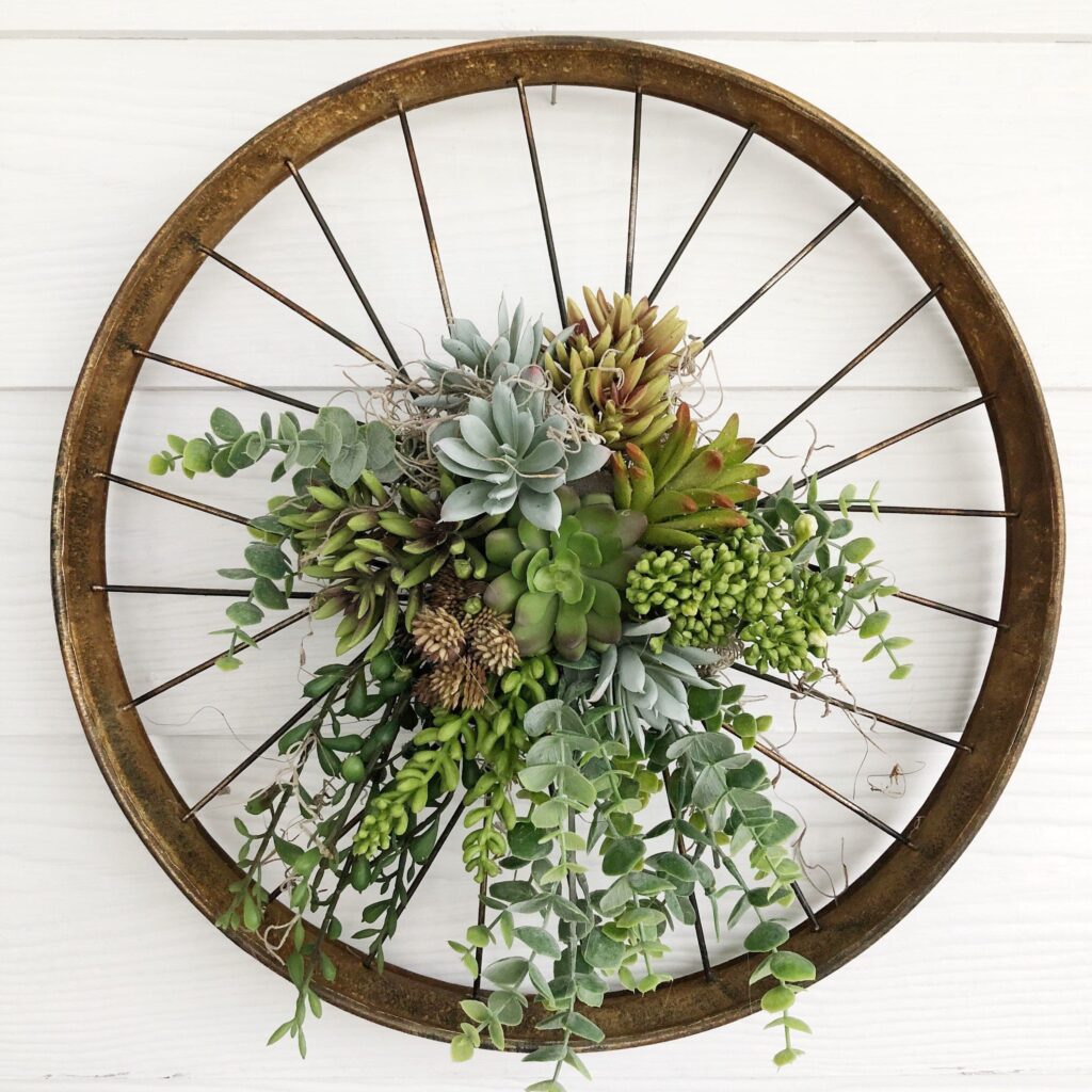 A bicycle rim with succulents planted in the center.