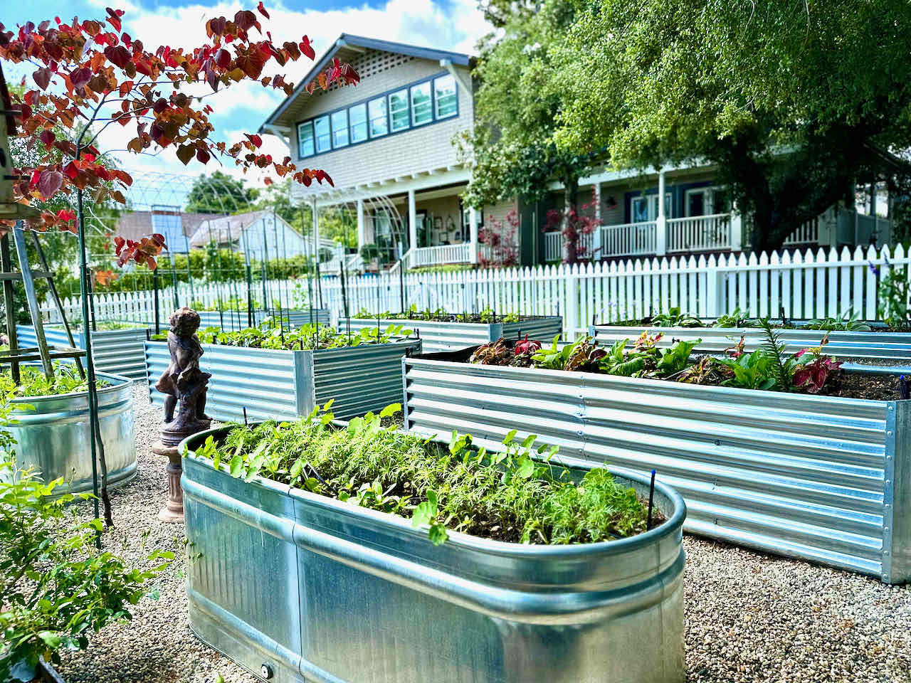 A cut flower garden in the early spring with several metal raised beds with small plants starting to grow.