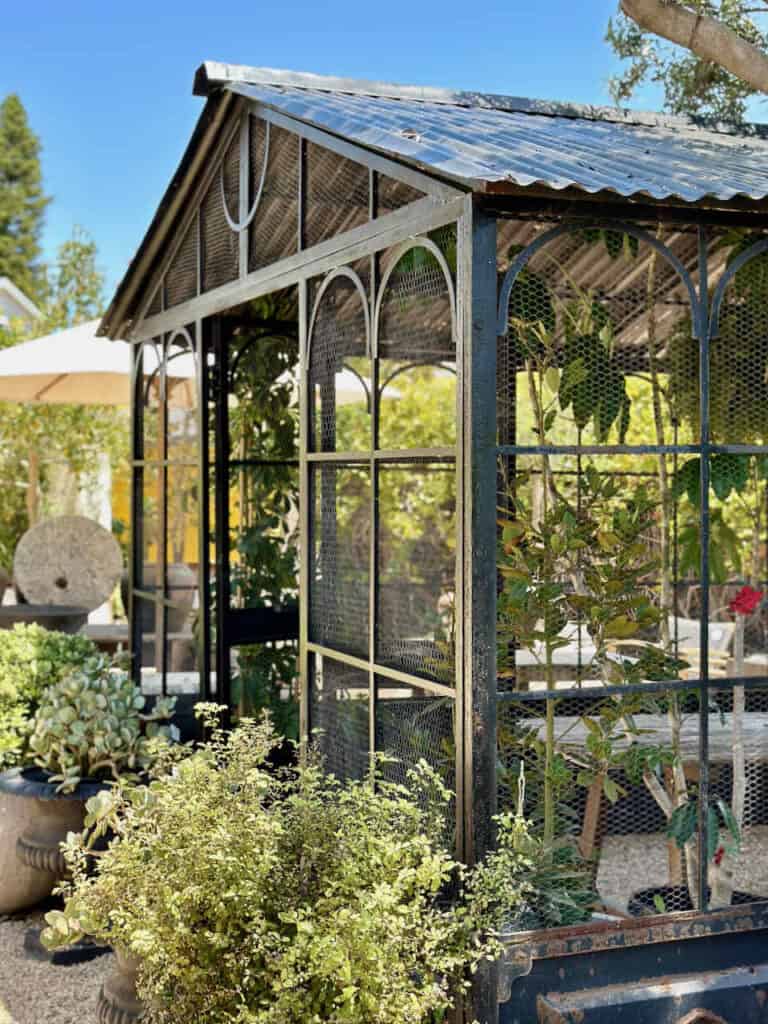 A rustic greenhouse with a metal frame and clear panels stands in a garden. Surrounding it are various potted plants and greenery. Thank you to the sunlight and blue sky overhead, the greenhouse and plants are bathed in warmth, creating a serene outdoor setting.