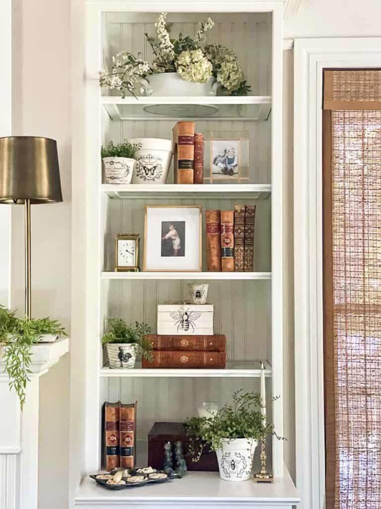 Shelving unit filled with vintage books, white ironstone ware  and green plants. 