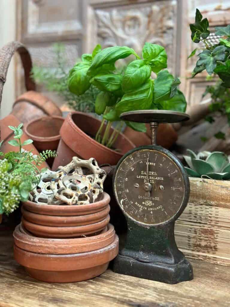 Stack of red clay saucers with aged terracotta pots and fresh basil. A vintage mail scale with old faucet handles.