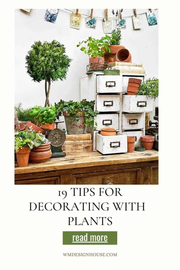 Pinterest Pin- 19 tips for how to decorate with plants