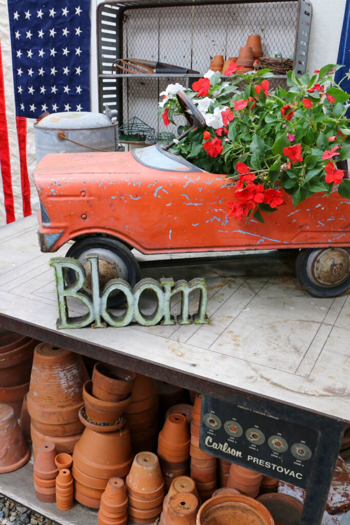 Memorial Day Party Ideas- Garden shed table with old vintage toy car decorated with red and white impatients. Shelf lined with terra cotta pots
