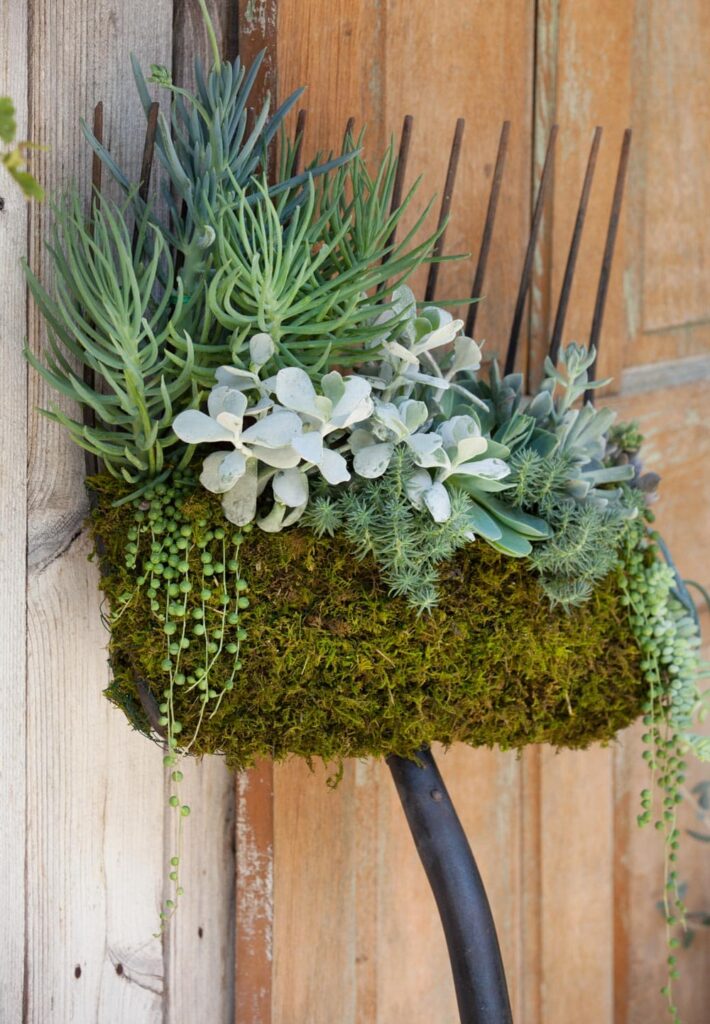 How to Use Succulents in Beautiful Floral Arrangements- An old pitchfork turned upside down with a wire basket near the prongs to create a basket full of succulents