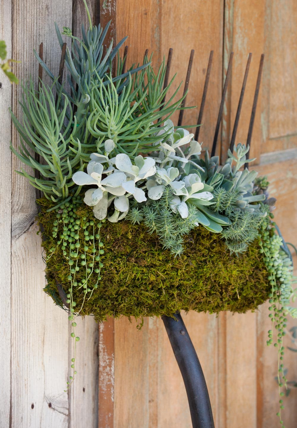 How to Use Succulents in Beautiful Floral Arrangements