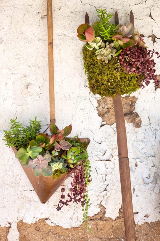  vintage garden theme indoors-How to Use Succulents in Beautiful Floral Arrangements- a shovel turned upside down and turned into a succulent planter