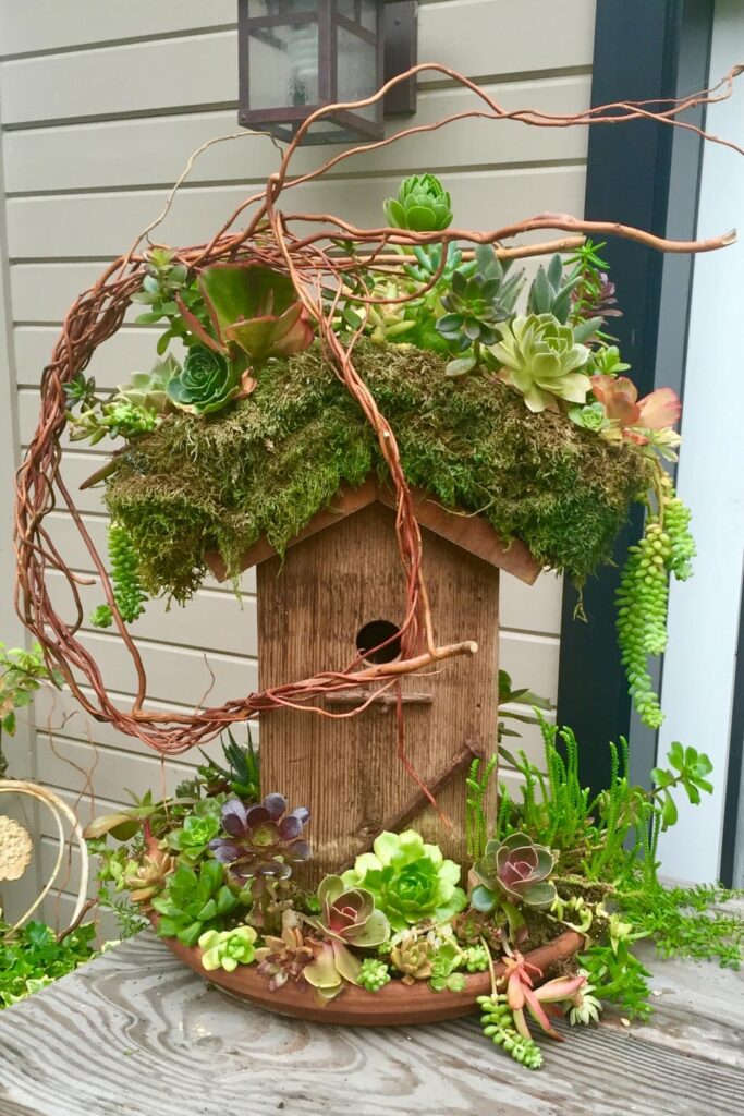 how to use succulents to create a flora arrangement- A red wood birdhouse with the roof planted with succulents.