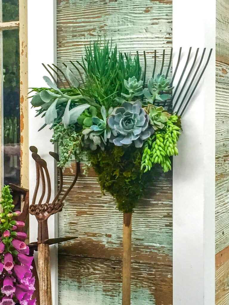 A rake turned upside down and planted with succulents