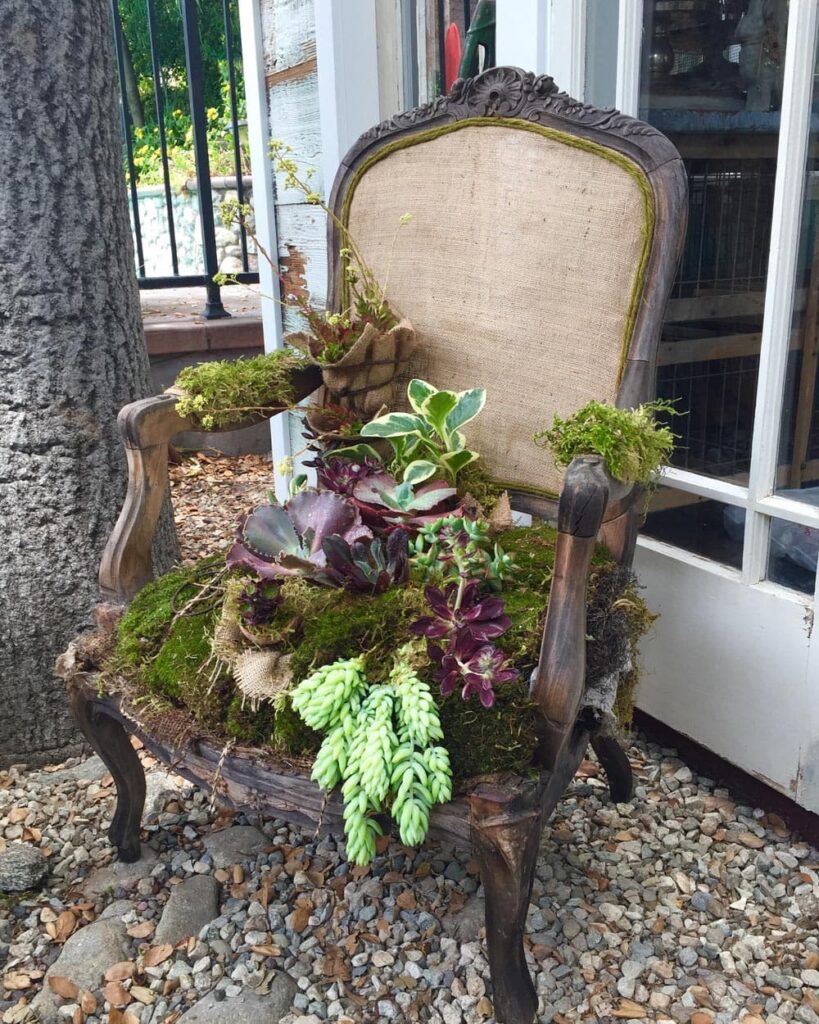 How to Use Succulents in Beautiful Floral Arrangements-A chair in the garden with the seat planted with succulents