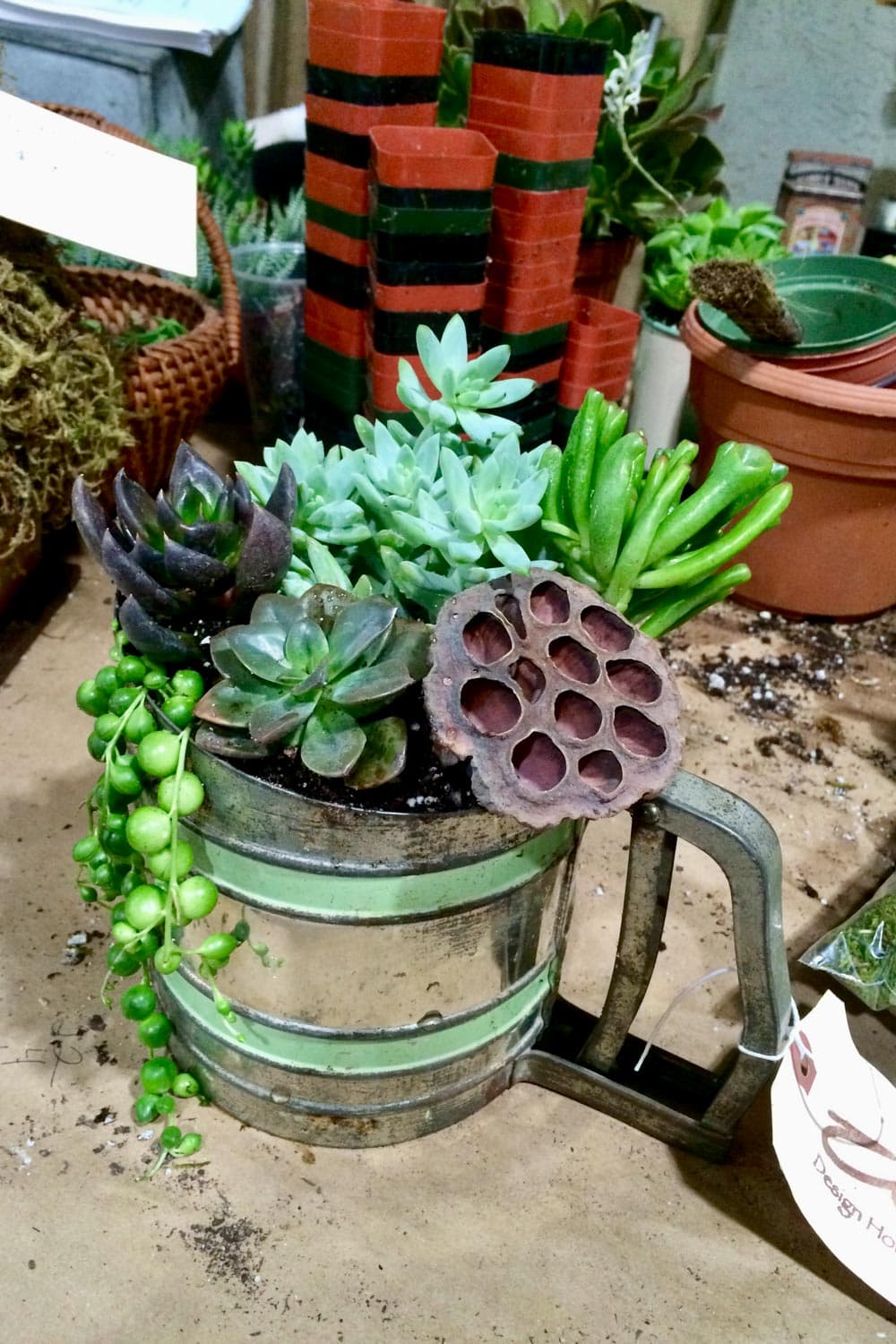 How to Use Succulents in Beautiful Floral Arrangements