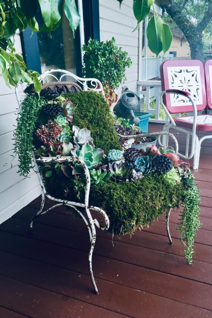 A metail chair sitting on a front porch lined with moss and planted with succulents