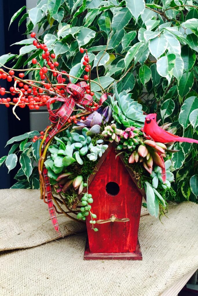 How to Use Succulents in Beautiful Floral Arrangements- redwood birdhouse with succulents planted on the top. A red cardinal, red berries and a plaid bow