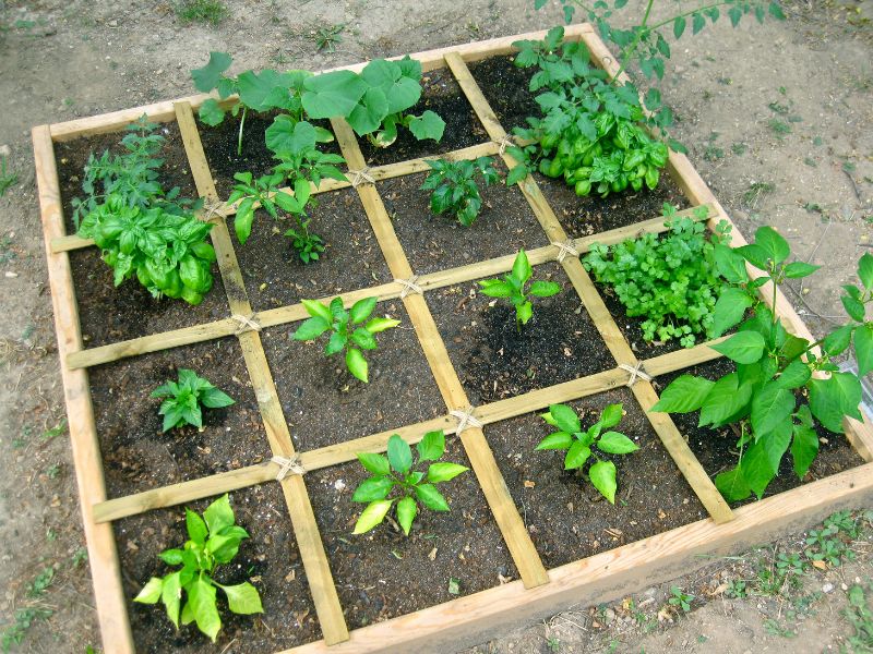 small space garden - square foot gardening - complete guide to gardening