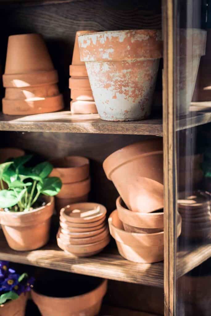 Bookshelf in the She-shed decorated with vintage garden terra cotta pots 