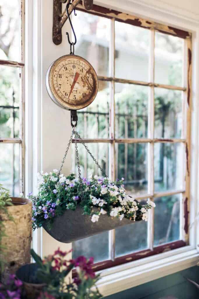 Vintage garden scale planted in the she shed  and hanging in front of a window